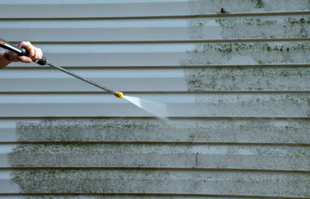 Best Driveway Pressure Washing  in Maywood, NJ