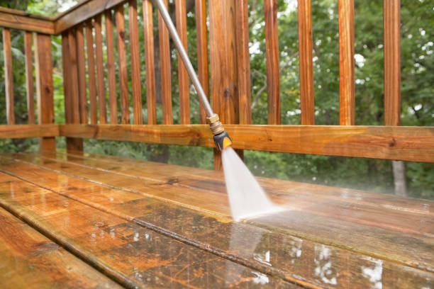 Best Solar Panel Cleaning  in Maywood, NJ