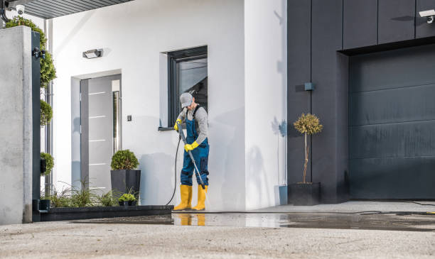 Best Soft Washing  in Maywood, NJ